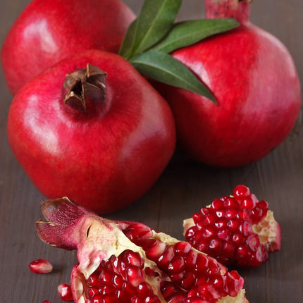 Provence Pomegranate Bush Soft Fruit